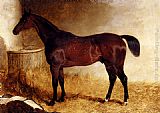 Flexible, A Chestnut Racehorse In A Loose Box by John Frederick Herring, Jnr